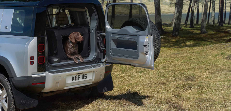 Land Rover testuje lak nových Defenderov psími labami